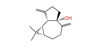 (+)-Aromadendra-4(15),10(14)-dien-1-ol