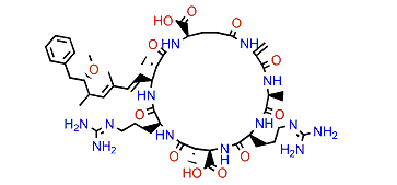 (Dha7)-Microcystin-RR