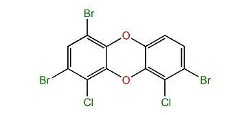 1,3,7-Tribromo-4,6-dichlorodibenzo-p-dioxin