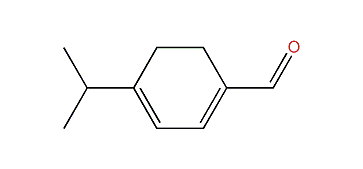 p-Mentha-1,3-dien-7-al