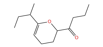 1-(6-(1-Methyl-propyl)-3,4-dihydro-2H-pyran-2-yl)-butan-1-one