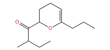 1-(6-Propyl-3,4-dihydro-2H-pyran-2-yl)-2-methylbutan-1-one