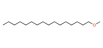 1-Methoxyhexadecane