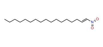 (E)-1-Nitro-1-heptadecene