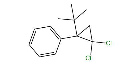 (1-tert-Butyl-2,2-dichlorocyclopropyl)-benzene