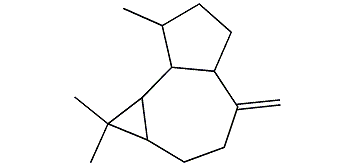 10(14)-Aromadendrene