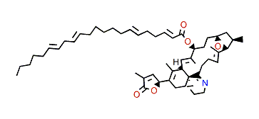 10-O-Docosatetraenoyl-gymnodimine A