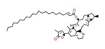 10-O-Docosenoyl-gymnodimine A