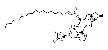 10-O-Eicosadienoyl-gymnodimine A