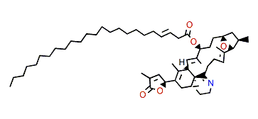 10-O-Tetracosenoyl-gymnodimine A