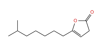 10-Methyl-3-undecen-4-olide