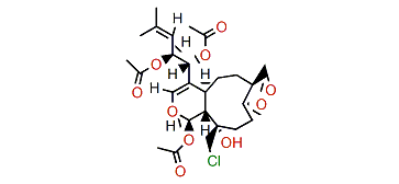 11(19)-Havannachlorohydrin