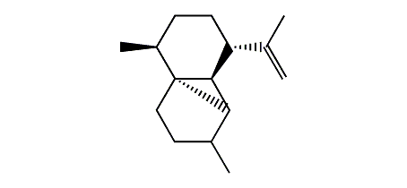 Cubeb-11-ene