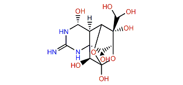 11-Oxotetrodotoxin