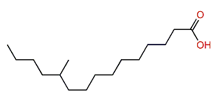 11-Methylpentadecanoic acid