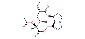 12-Acetylsenecionine