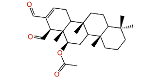 12-Episcalaradial