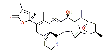 12-Methylgymnodimine A