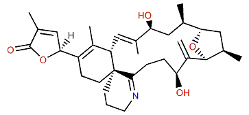 12-Methylgymnodimine B