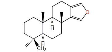 13(16),14-Spongiadiene