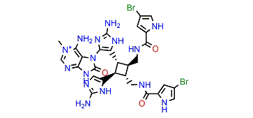 15'-Oxoadenosceptrin