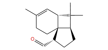 Italicen-15-al