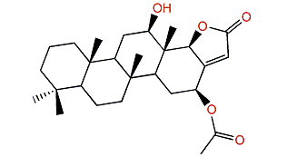 16-Episcalarabutenolide