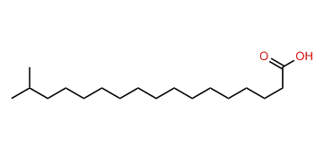 16-Methylheptadecanoic acid