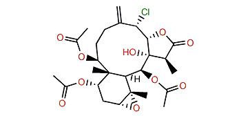 17-Epistylatulide