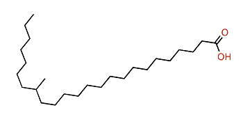 17-Methyltetracosanoic acid