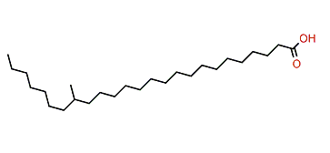 18-Methylpentacosanoic acid