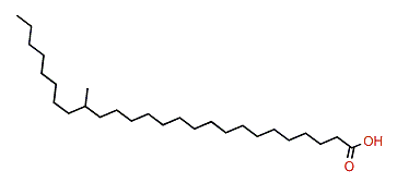 18-Methylhexacosanoic acid