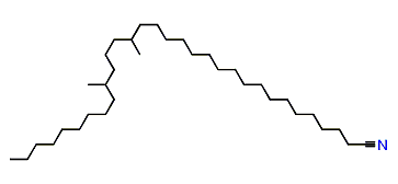 18,22-Dimethylhentriacontyl cyanide