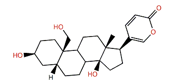 19-Hydroxybufalin