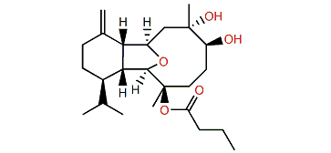 (1R,2R,3R,6S,7S,9R,10R,14R)-3-Butanoyloxycladiell-11(17)-en-6,7-diol