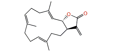 (1R,2S,3E,7E,11E)-3,7,11,15(17)-Cembratetraen-16,2-olide