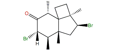 (1S,2R,4S,5R,6R,8S,9R)-Perforatone