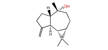 (1b,5a,6b,7b,10a)-4(15)-Aromadendren-10-ol