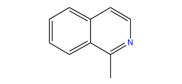 1-Methylisoquinoline