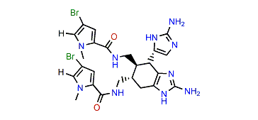 N1,N1'-Dimethylageliferin