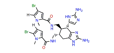 N1,N1'-Dimethylisoageliferin