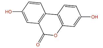 2',3''-Dihydroxydibenz-2-pyrone