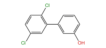 2',5'-Dichlorobiphenyl-3-ol