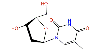 2'-Deoxythymidine