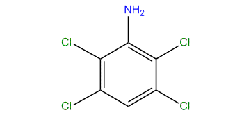 2,3,5,6-Tetrachloroaniline