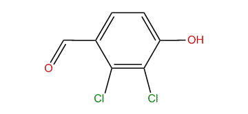 2,3-Dichloro-4-hydroxybenzaldehyde