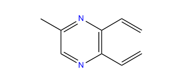 2,3-Diethenyl-5-methylpyrazine