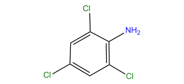 2,4,6-Trichlorobenzenamine