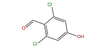 2,6-Dichloro-4-hydroxybenzaldehyde