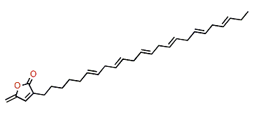 (E,E,E,E,E,E)-2-(6,9,12,15,18,21-Tetracosahexaenyl)-2,4-pentadien-4-olide